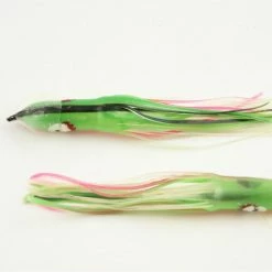 NORTH PACIFIC CUTTLEFISH GBOC105R