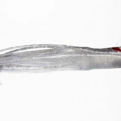 NORTH PACIFIC CUTTLEFISH AS73R Hoochies