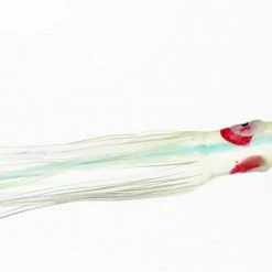 NORTH PACIFIC CUTTLEFISH G82