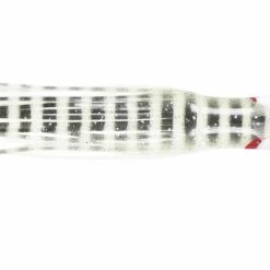 NORTH PACIFIC CUTTLEFISH YS47