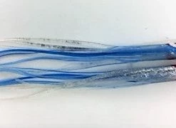 NORTH PACIFIC NEEDLE FISH B46