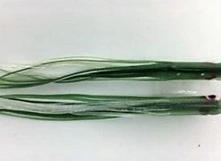 Hoochies NORTH PACIFIC NEEDLE FISH G81