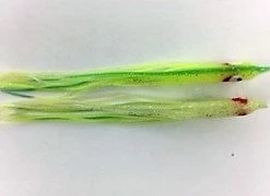 Hoochies NORTH PACIFIC NEEDLE FISH G82L