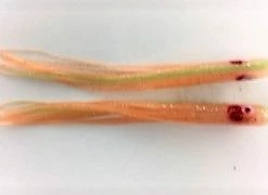 NORTH PACIFIC NEEDLE FISH LGM92 Hoochies