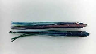 NORTH PACIFIC NEEDLE FISH LPB1