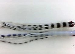 Hoochies NORTH PACIFIC NEEDLE FISH YS47OA