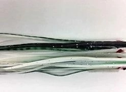 NORTH PACIFIC NEEDLE FISH YSLXG104