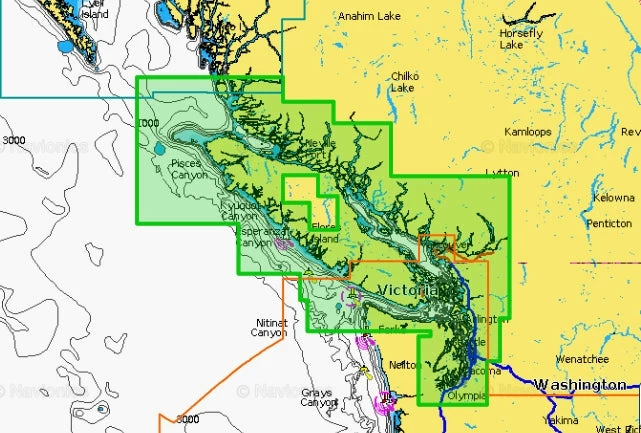 NAVIONICS PLATINUM P913PP BC SOUTH CHART