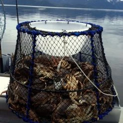 Sealtek Tanner Crab & Prawn Trap 39" - Prawn Web