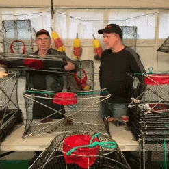 Jolly Good Large Stainless Steel Prawn/Crab Trap