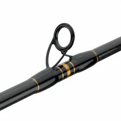Penn Carnage II Boat Conventional Rod Rods/Reels