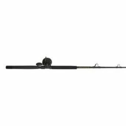 Penn Squall II Level Wind Combo SQLII30LW2050C66 Rods/Reels